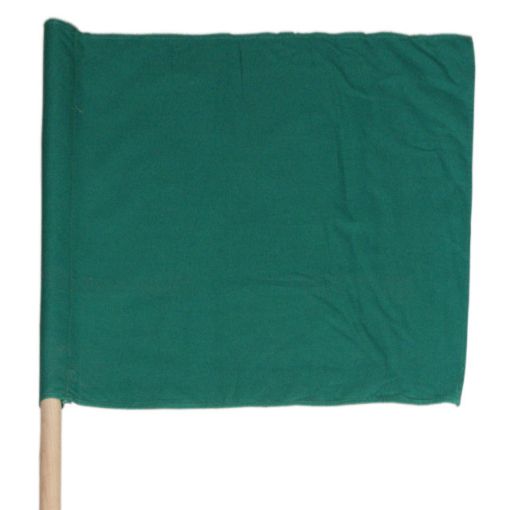 Bild von Warnflagge grün