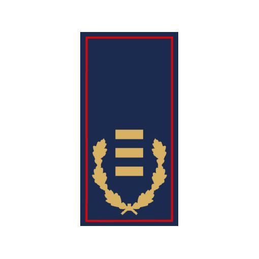 Bild von Dienstgradschlaufen EABrIín / EABrI Nds. FwVO 2025