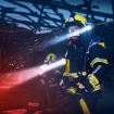 Bild von Handlampe L-4000